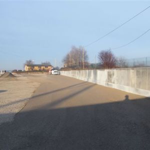 DSCF2229